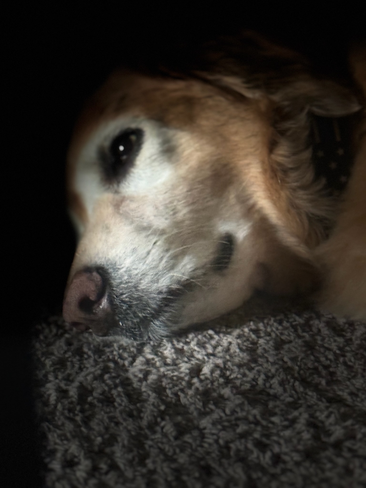 Louie memory